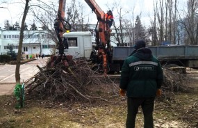 Волгодонцы устраняют последствия циклона: на общегородской субботник вышли более тысячи  горожан
